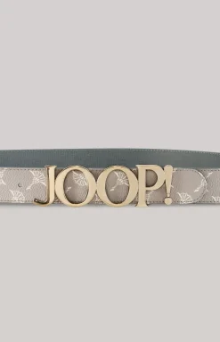 Belt in Light Grey