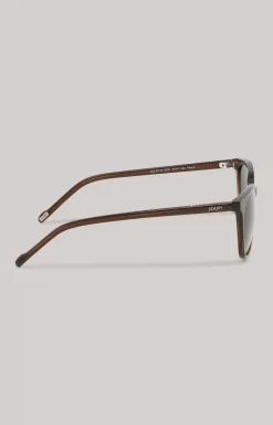Brown/Green Sunglasses