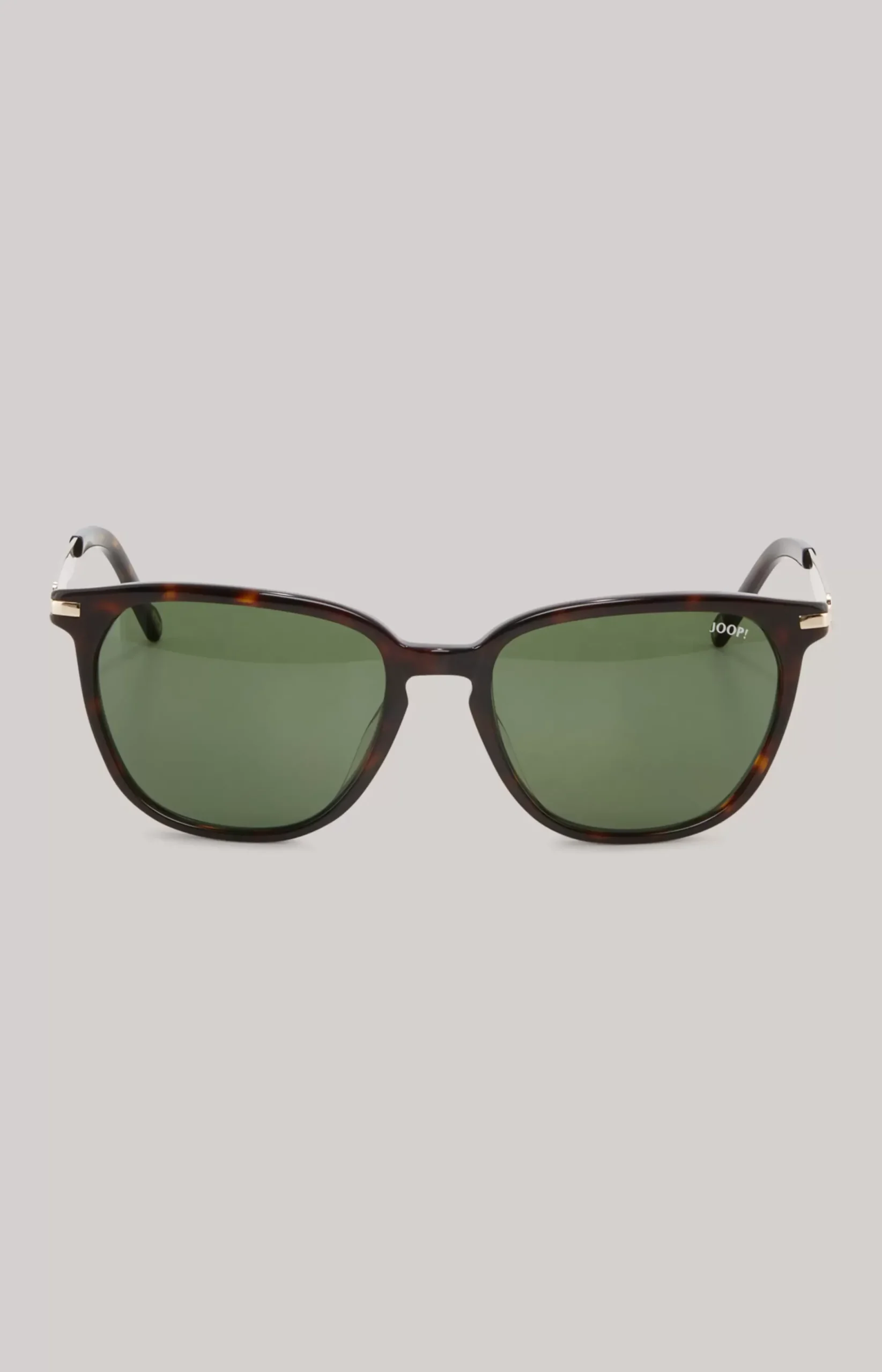 Brown/Green Sunglasses