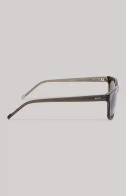 Grey/Brown Sunglasses