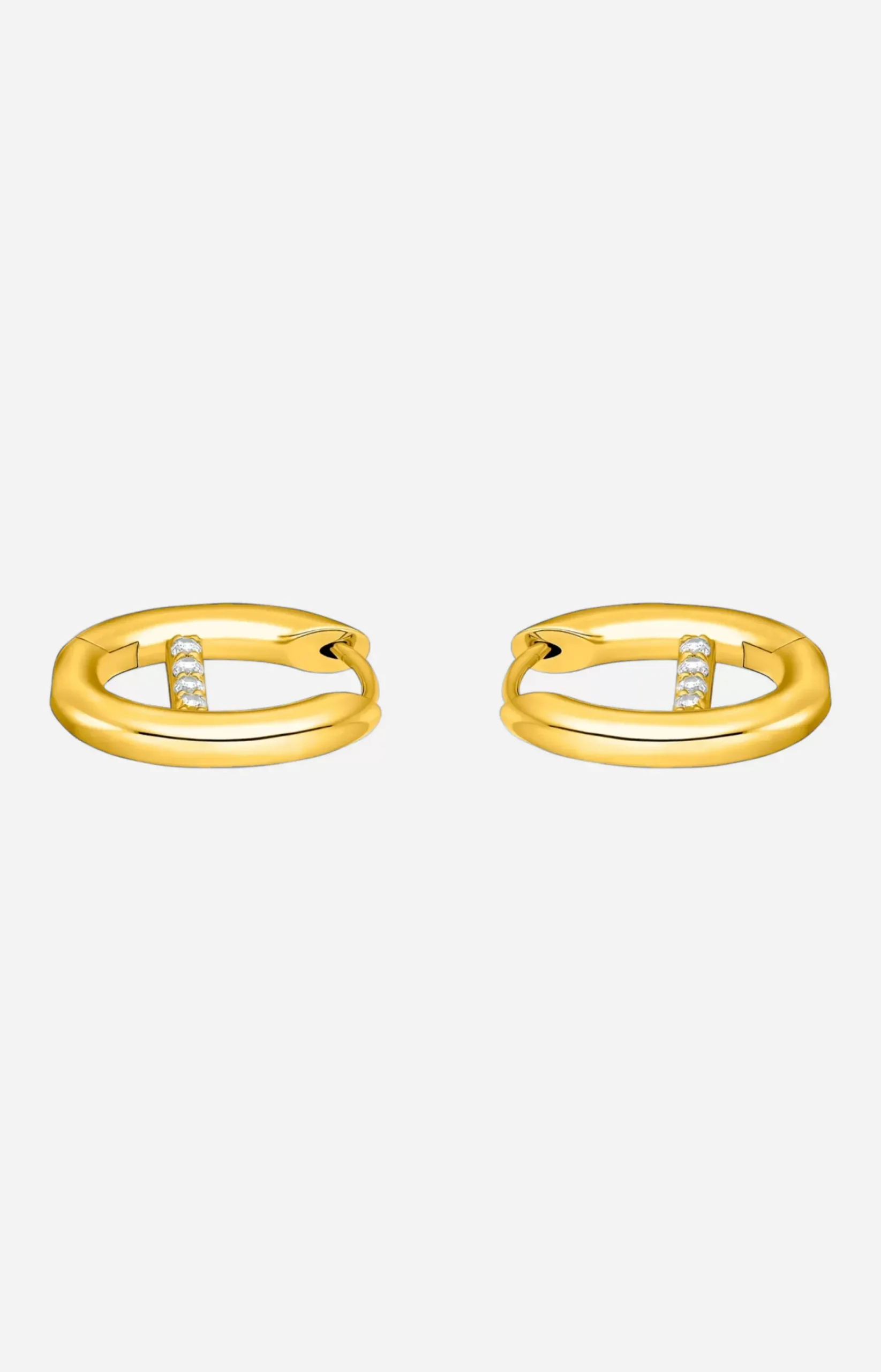 Hoop Earrings in Gold