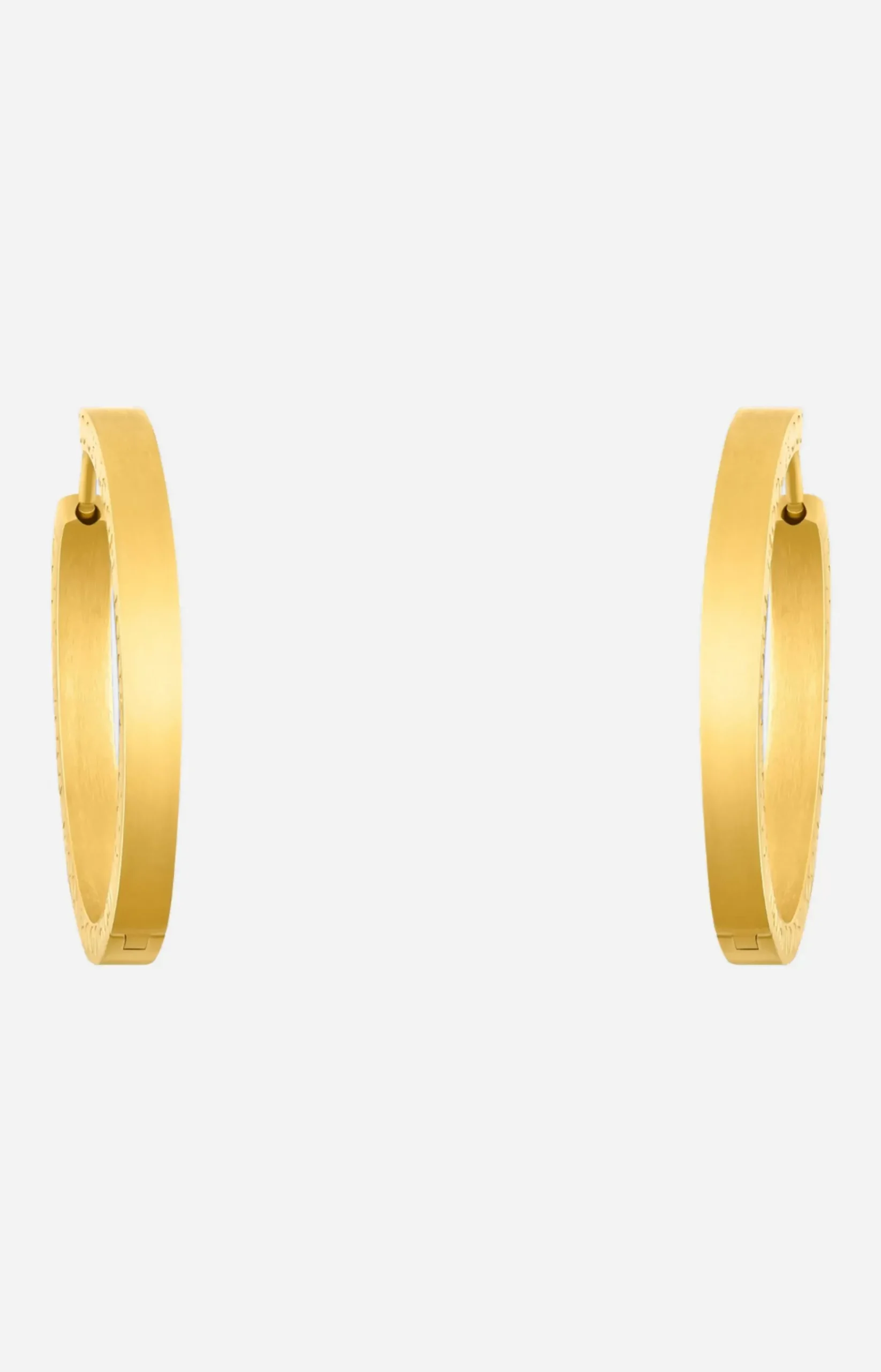 Hoop Earrings in Gold