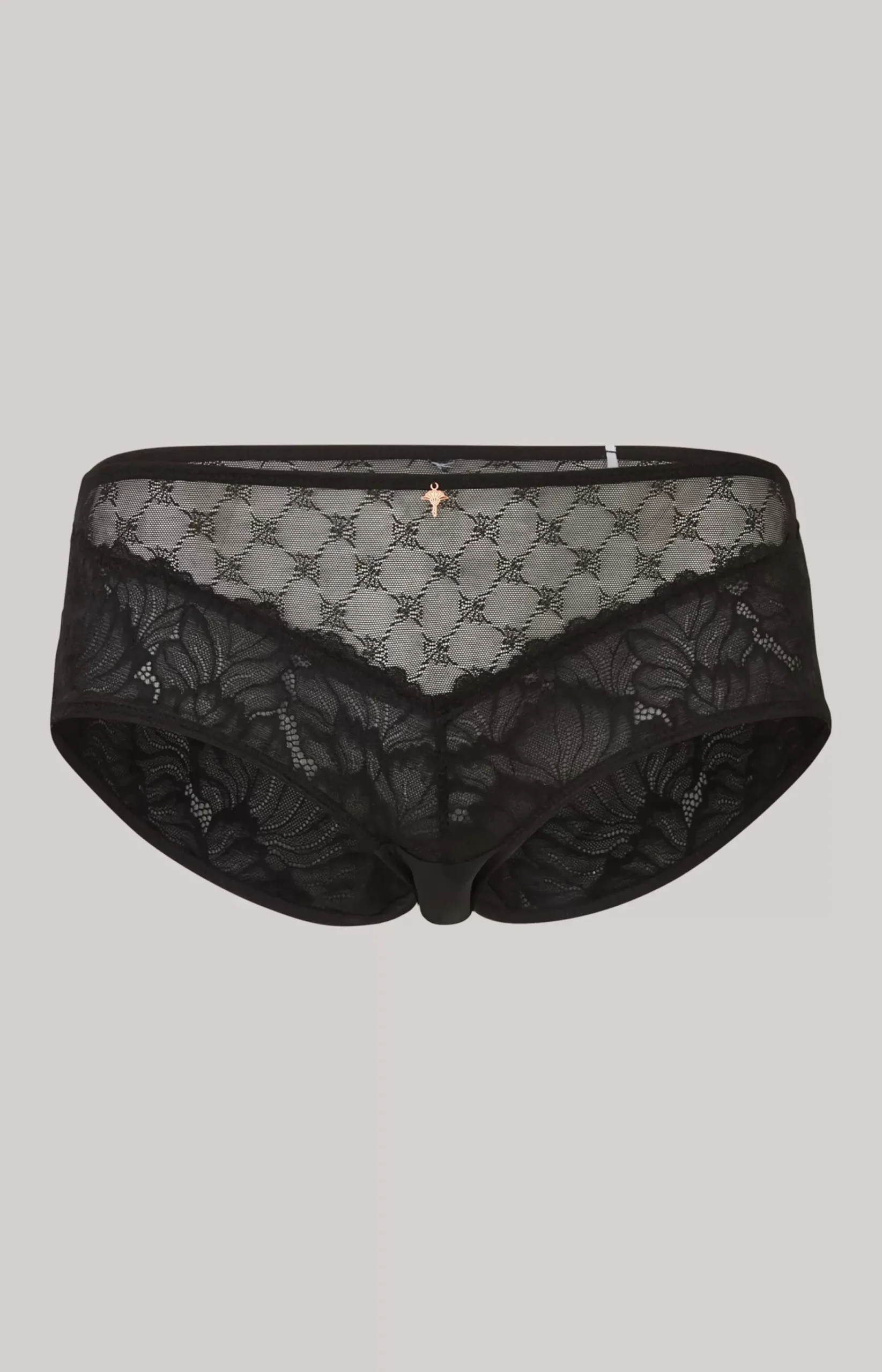 Lace Hipster Panties in Black