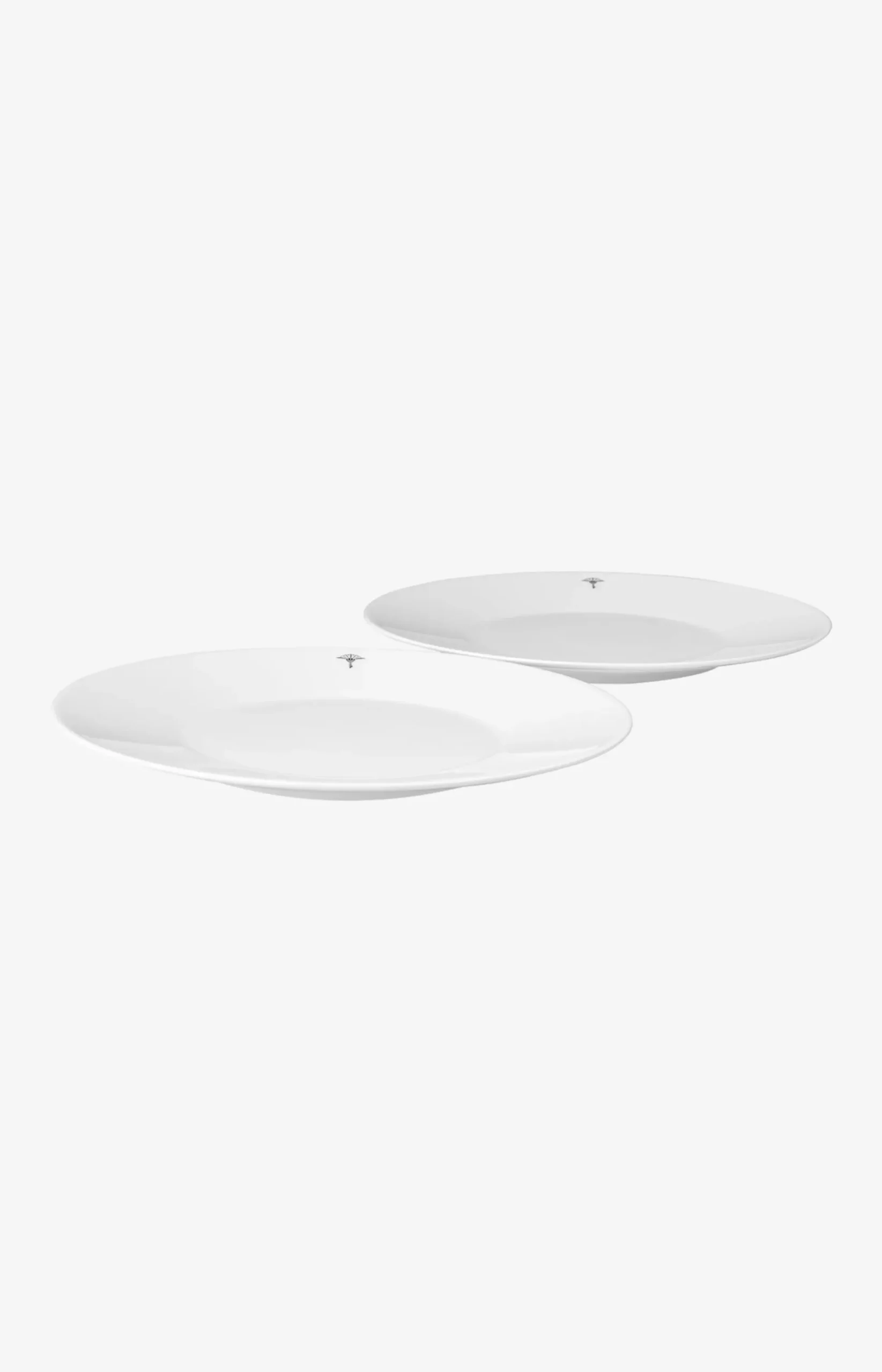 Single Cornflower Breakfast Plate - Set of 2 in White