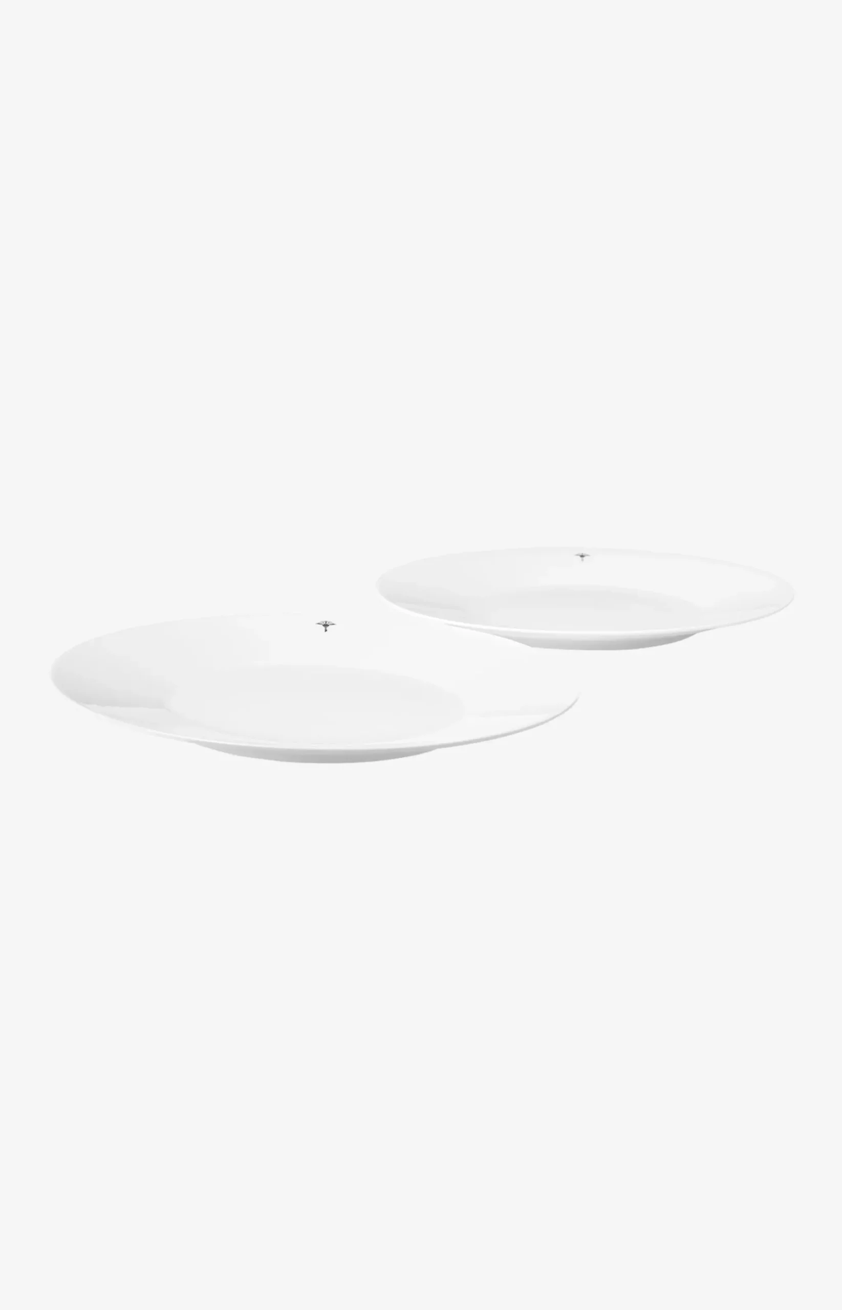 Single Cornflower Dinner Plate - Set of 2 in White