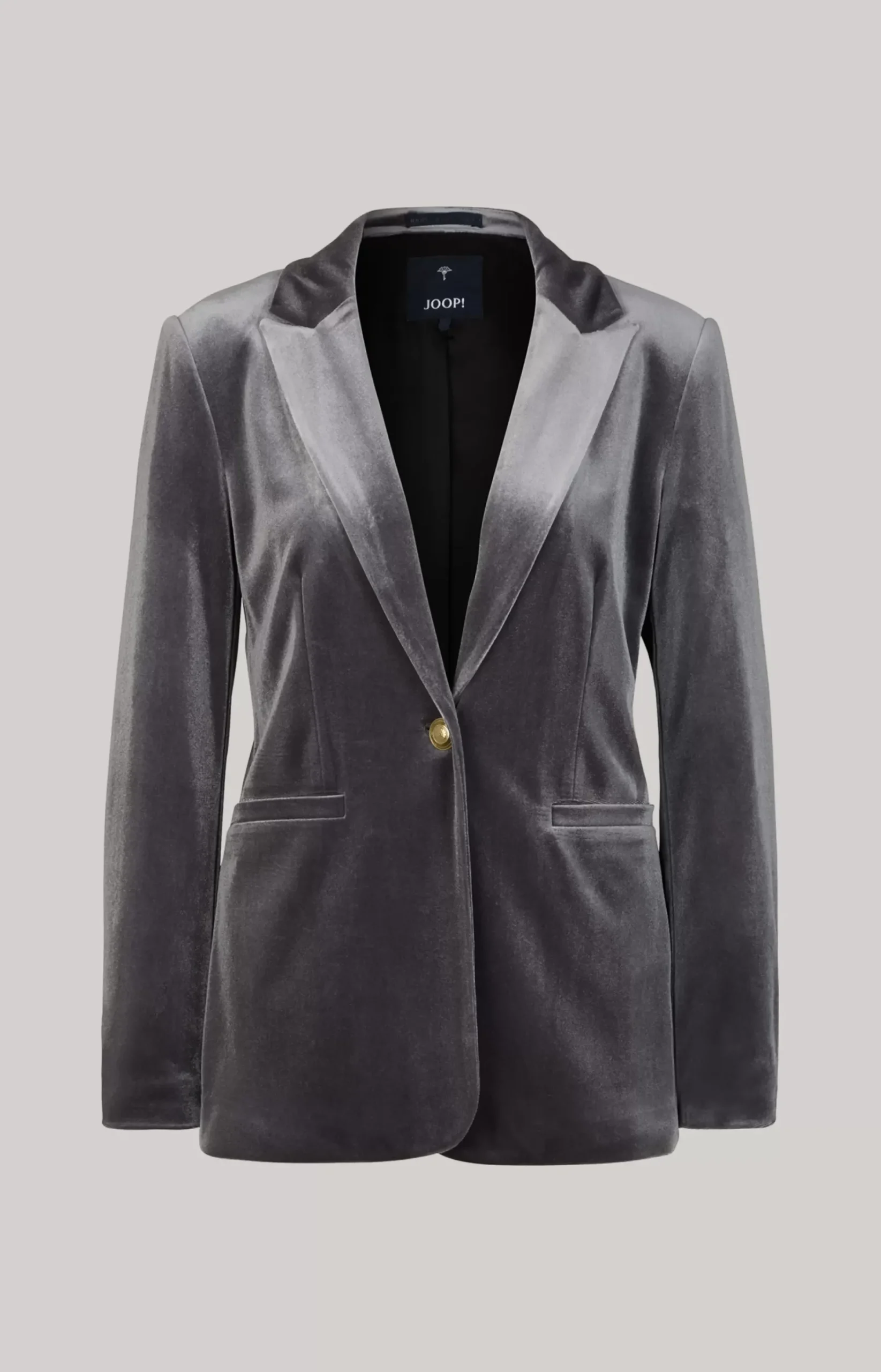 Velvet Blazer in Grey